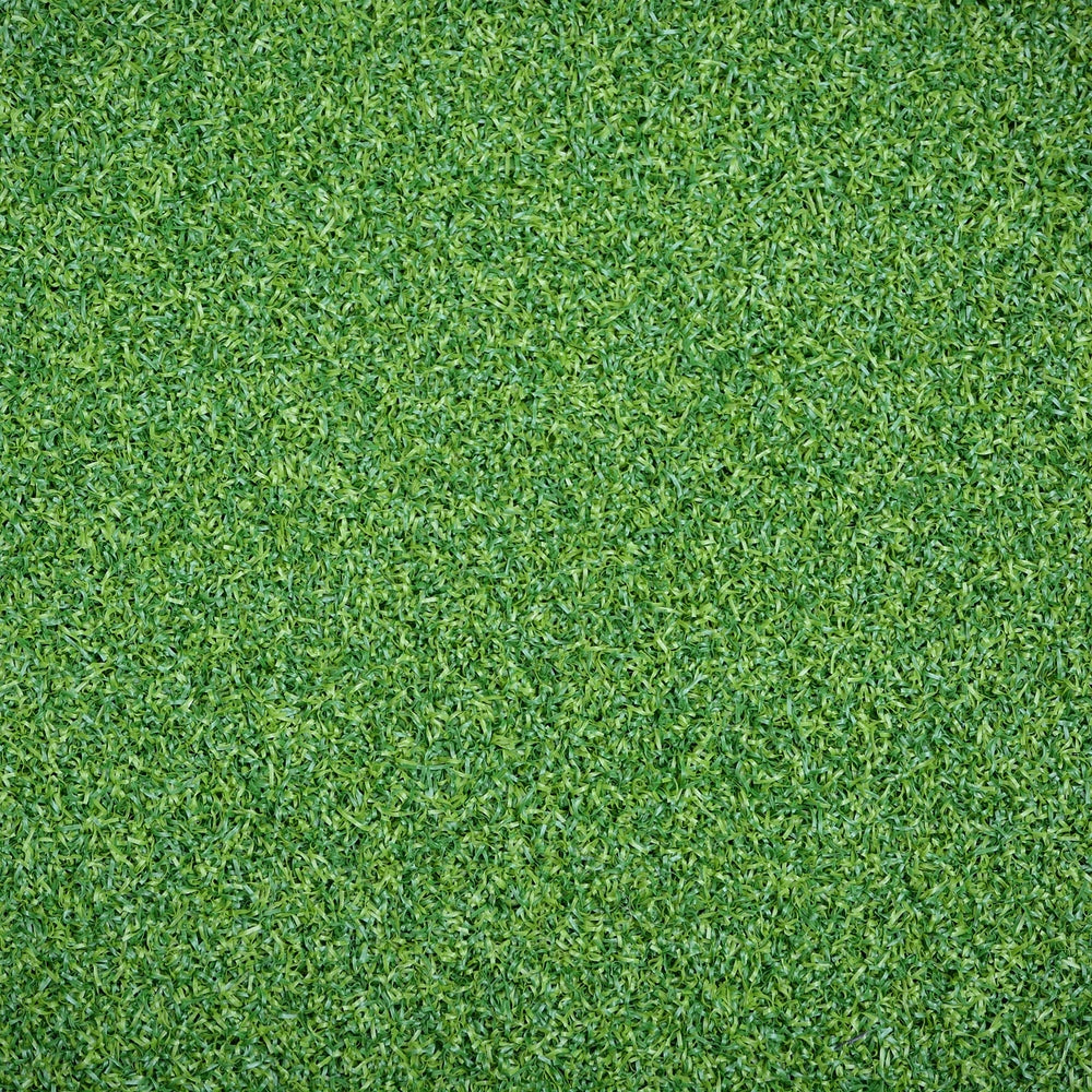 Putting Turf